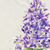 Lilac / Throw (50