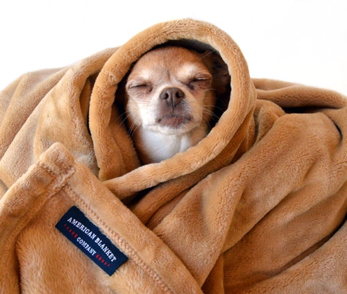 Luster Loft Pet Blankets Pamper Your Pet Now