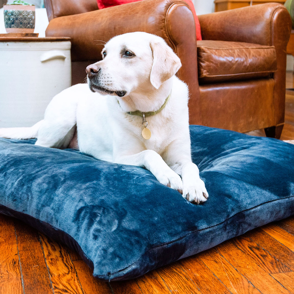 Pet Bed Luster Loft by American Blanket Company