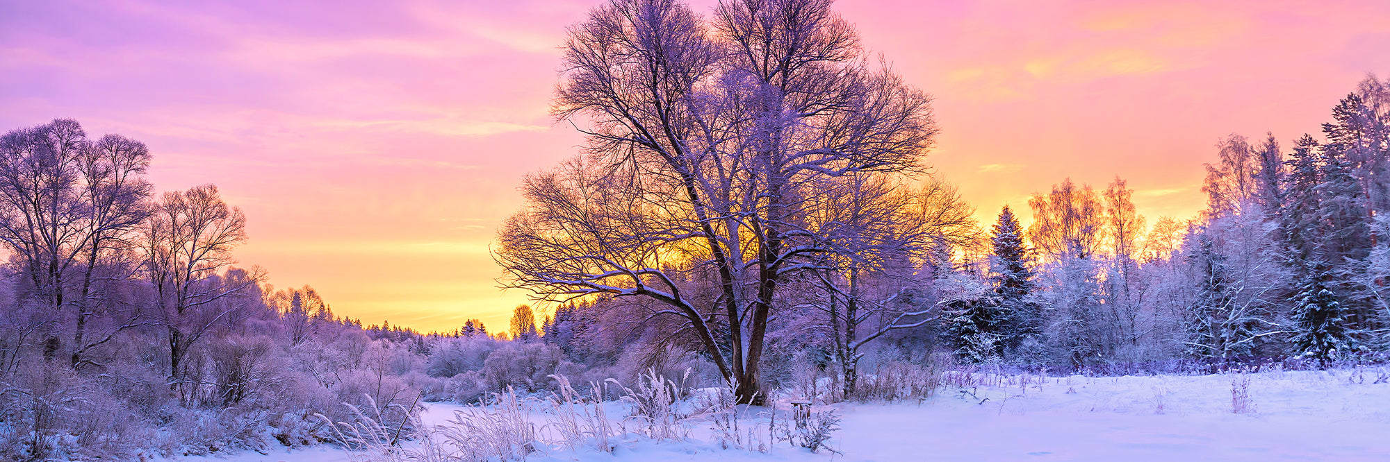 A soft sunset over a cold winter landscape, American Blanket Company