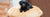 Best Pet Blankets and Beds by American Blanket Company, Snuggle Up.