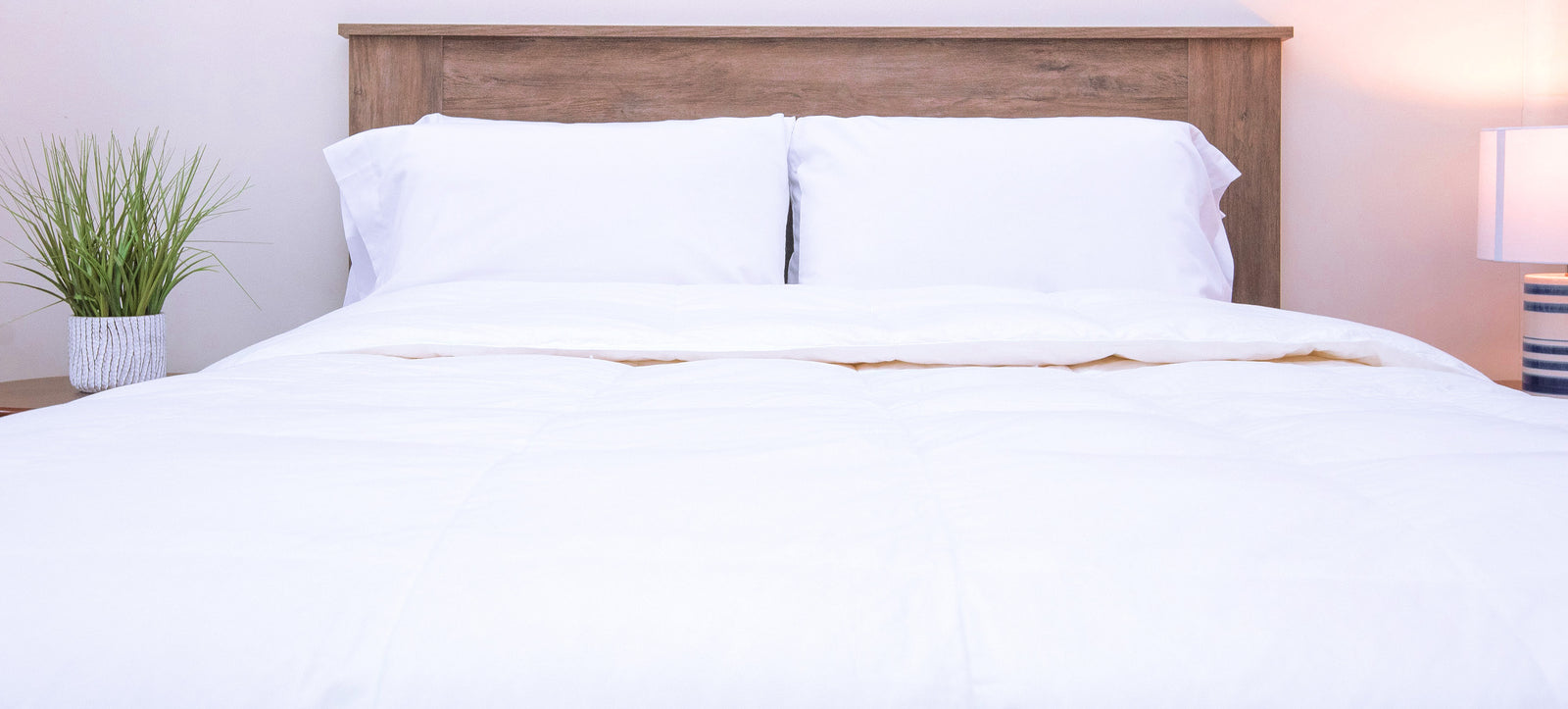 Comforters & Bedding