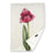 Blanket Fleece Blanket Printed Parrot Tulip Blanket