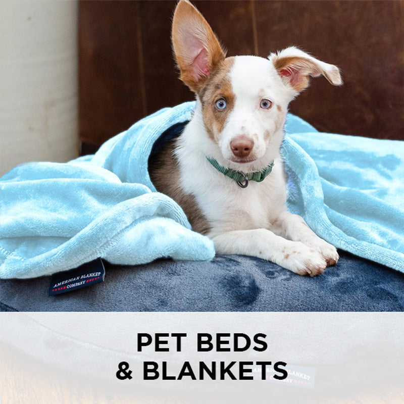 AMERICAN BLANKET COMPANY - PET BEDS AND BLANKETS - A BLUE EYED DOG WRAPPED IN A LUSTER LOFT BLANKET ONTOP OF A LUSTER LOFT PET BED