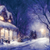 Snowy Scene / Throw (50