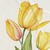 Yellow Tulip / Throw (50