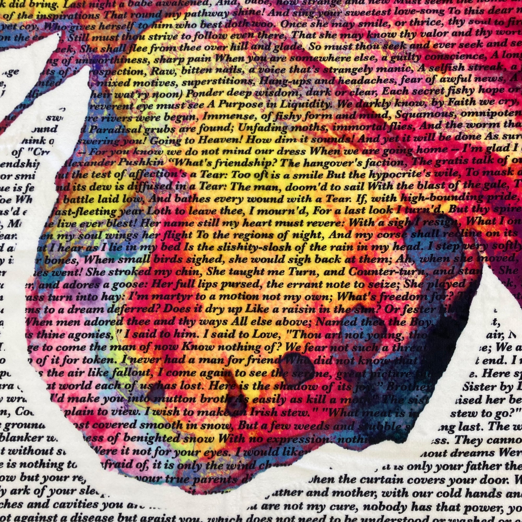 American Blanket Company - Butterfly Printed inspirational poem blanket - Close up detail of the blanket showing the easily readable text.