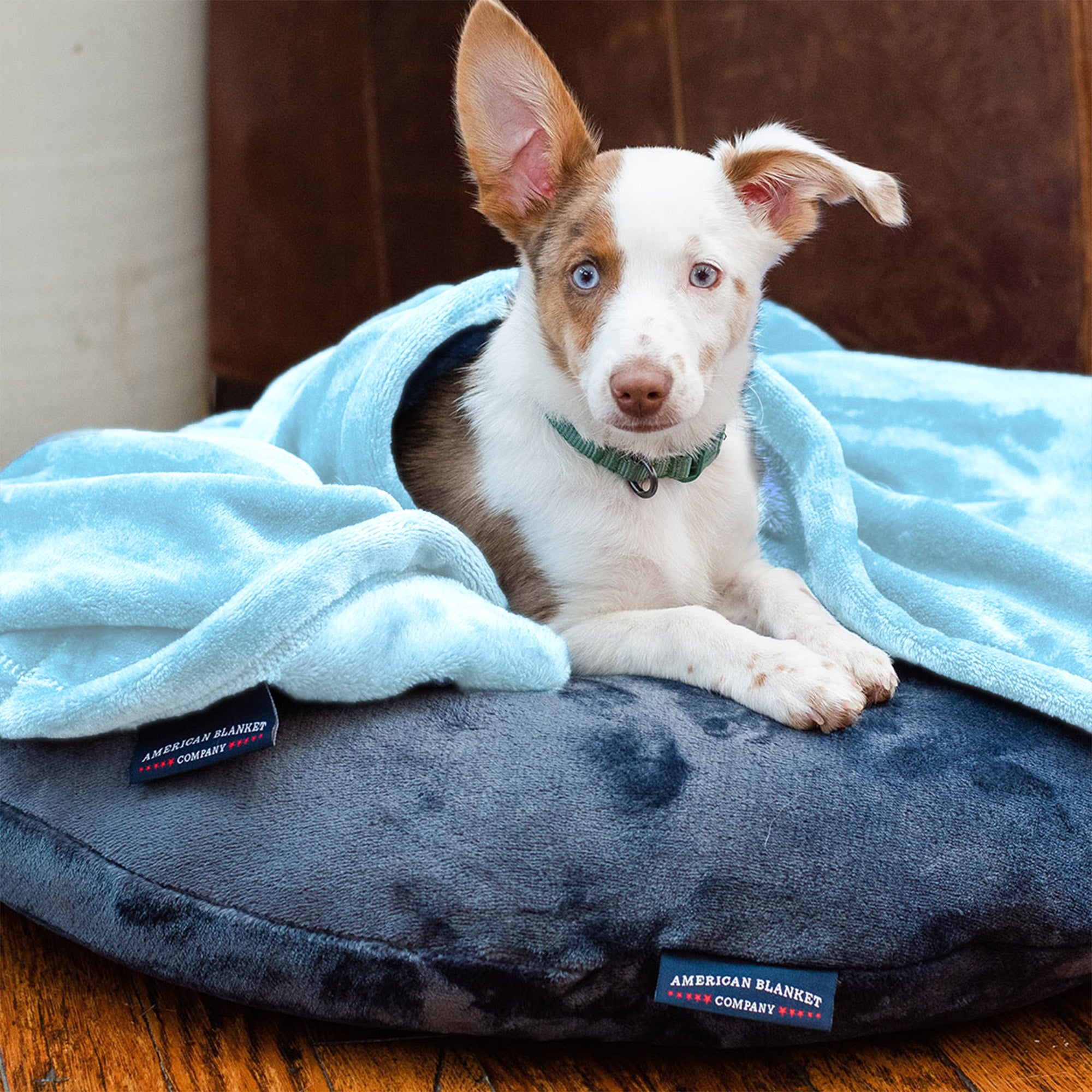 Luster Loft Pet Blankets Pamper Your Pet Now