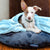 Pet Blankets - Luster Loft Fleece