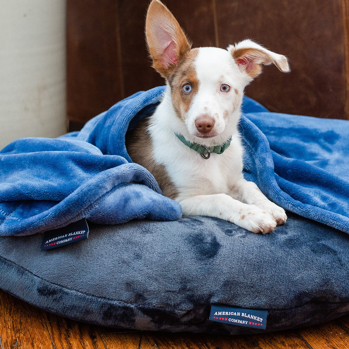 Luster Loft Pet Blanket | Best for Shedding Dogs & Cats | American